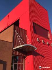 iFLY Indoor Skydiving - Seattle