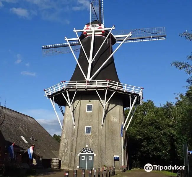 Molen de Lelie