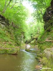 Pewit's Nest Gorge