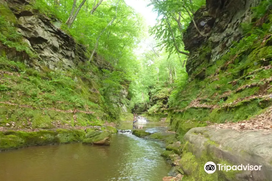 Pewit's Nest Gorge