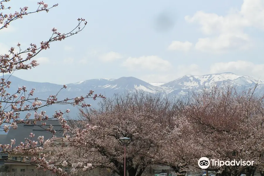 Arakawa Sakura-zutsumi Park