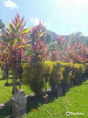 Cementerio de Los Colonos