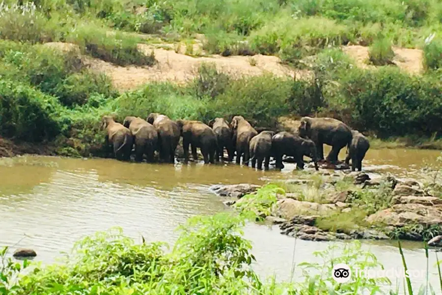 Mahaweli River