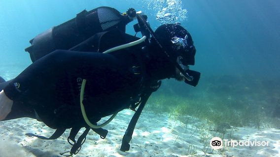 Dive Smart Gozo