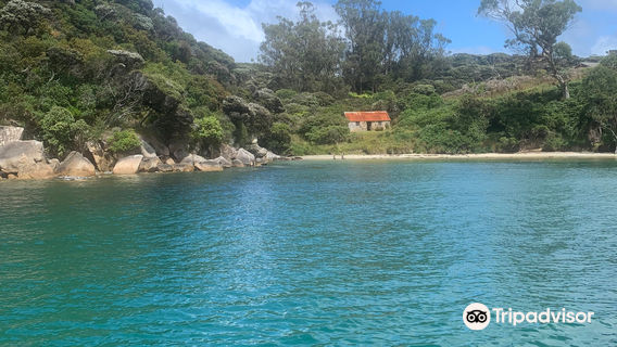 Stewart Island