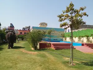 EleJungle - Nature & Elephant Safari in Jaipur