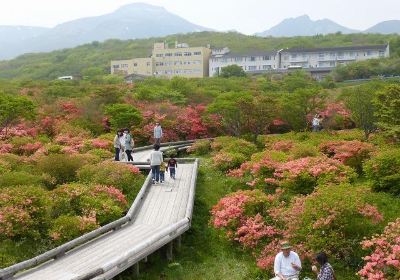 那須高原