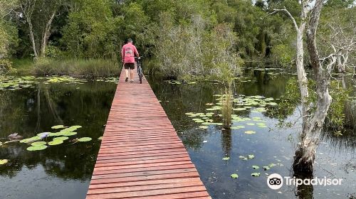 Rayong Botanical Garden (Aquatic Plants and Living Collection)