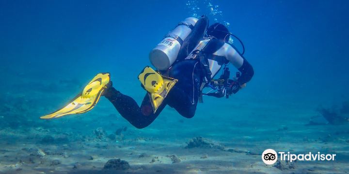 Lighthouse Divecenter