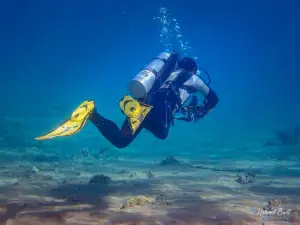 Lighthouse Divecenter