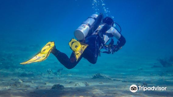 Lighthouse Divecenter