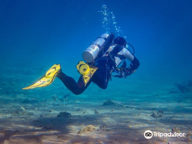 Lighthouse Divecenter