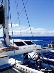 Alii Nui Sailing Charters