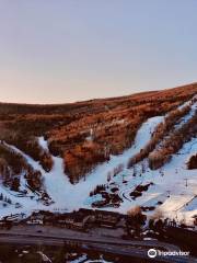 Bromley Mountain