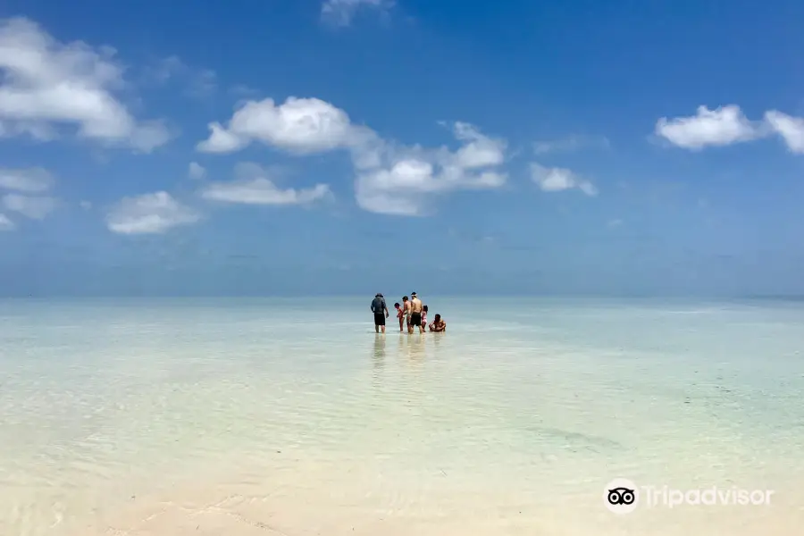 Key West Boat Trips