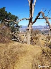 Towsley Canyon Park