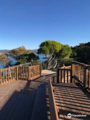 Eden Lookout and Rotary Park