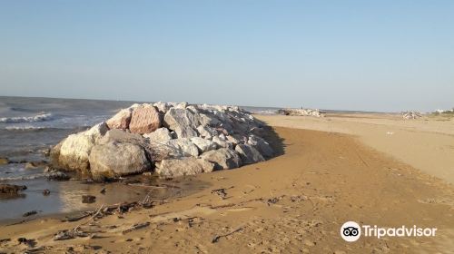 Riserva Naturale Foce Del Tagliamento