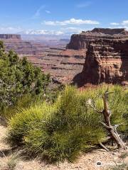 Shafer Trail Viewpoint