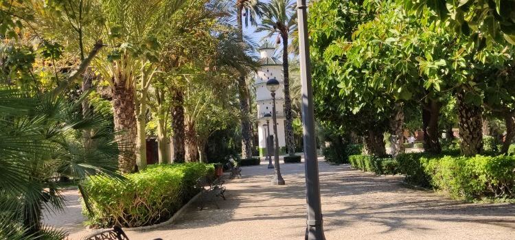 Baix Vinalopó