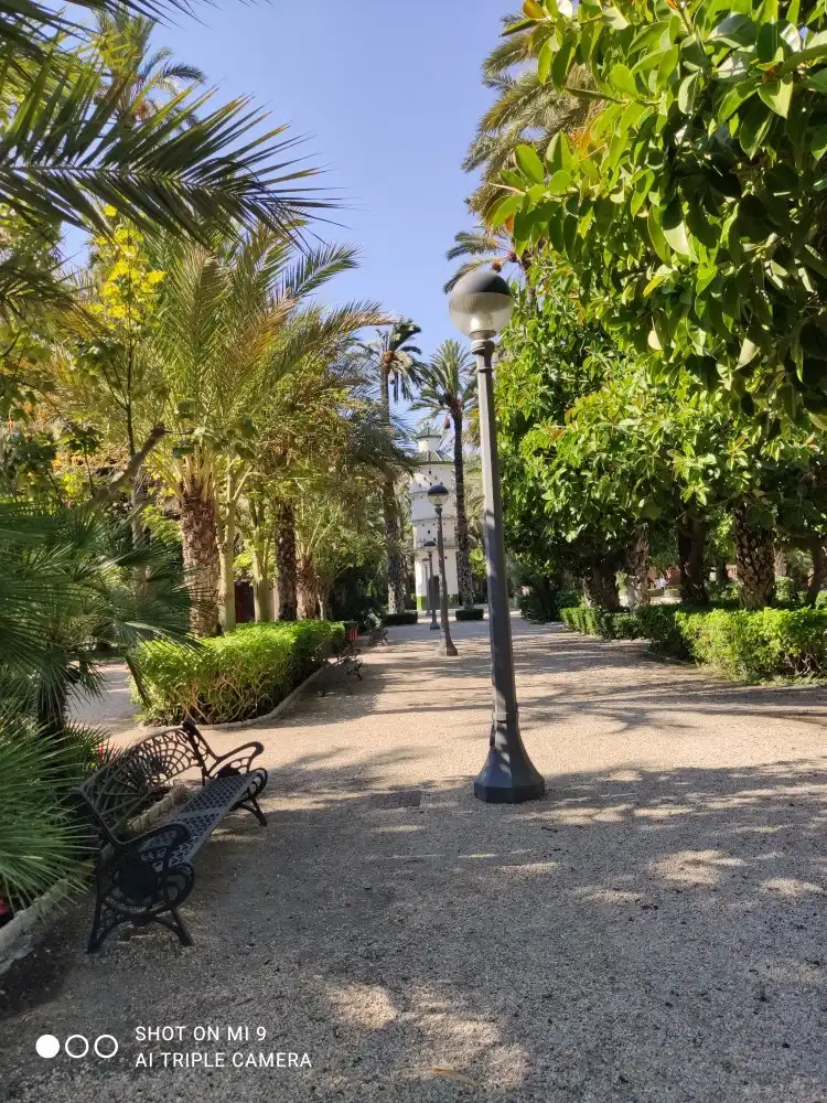 Hotels near Palm Groves (Palmeral) of Elche