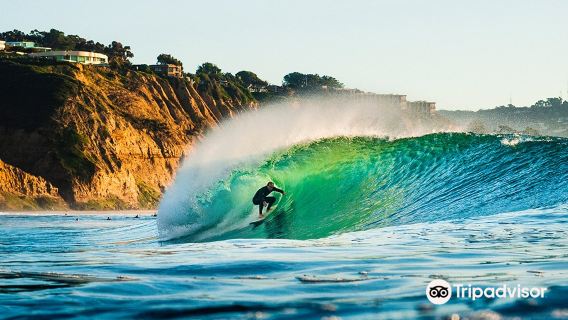 Torrey Pines State Beach