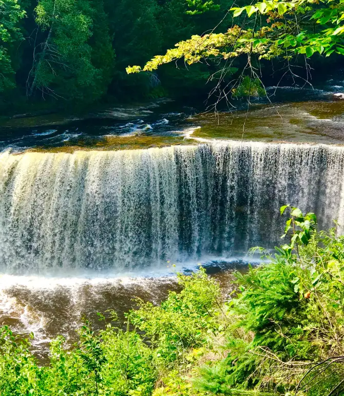Whitefish Township