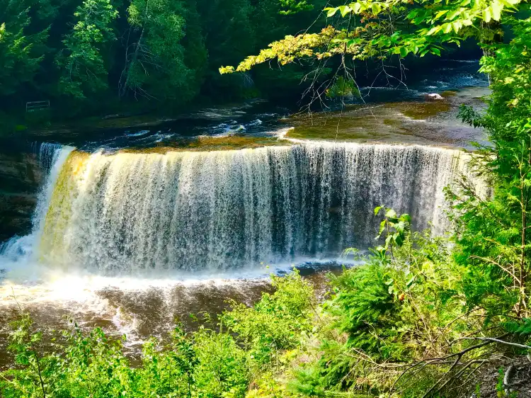 Hotels in Whitefish Township