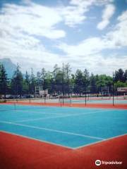 Tennis Club Embrunais