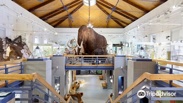 Hungarian Natural History Museum