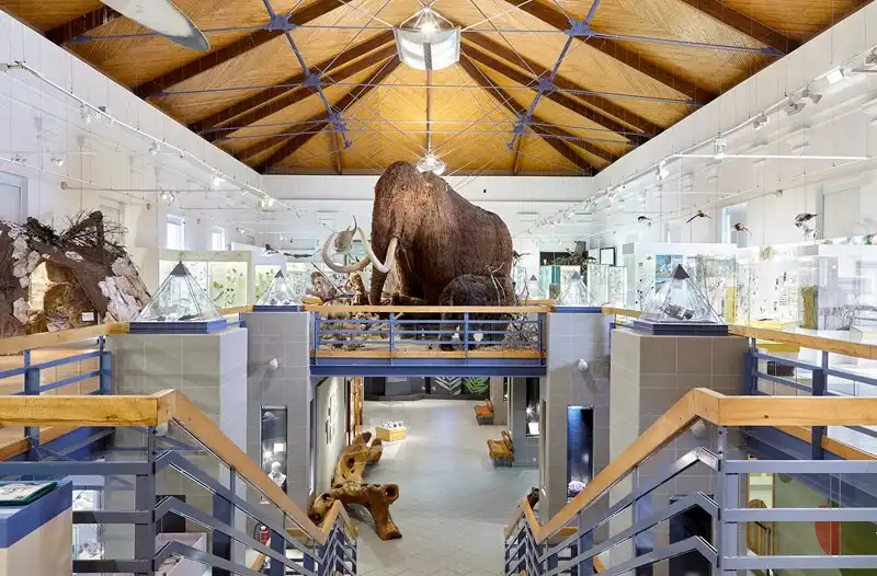 Hotels in der Nähe von Ungarisches Naturwissenschaftliches Museum