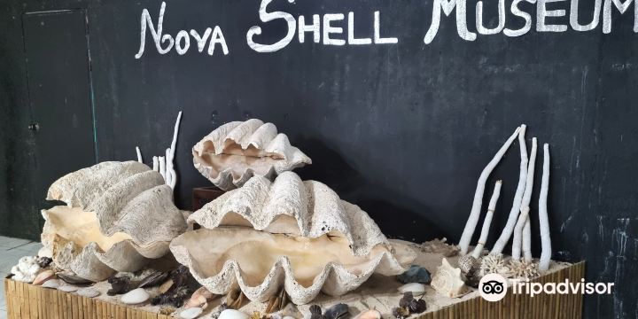 Nova Shell Museum