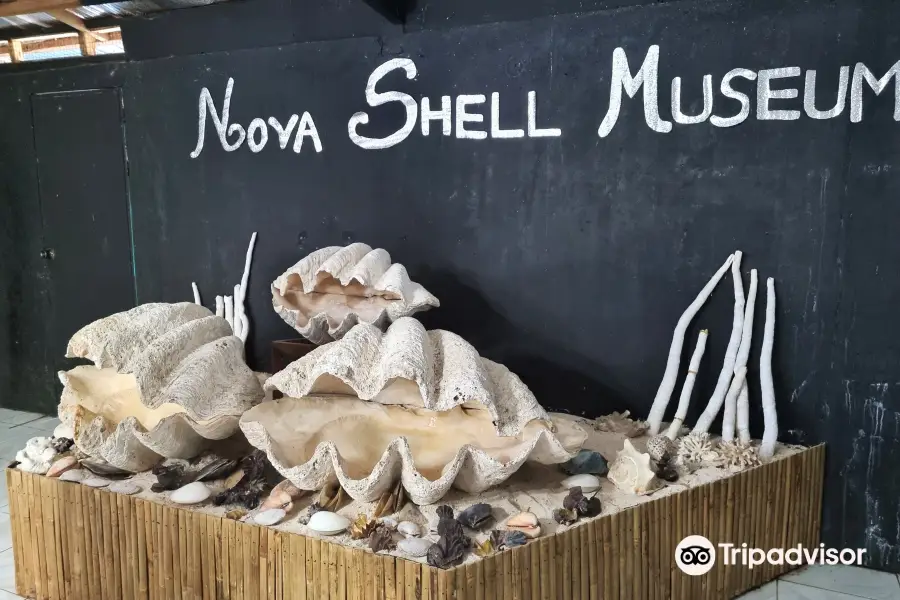 Nova Shell Museum