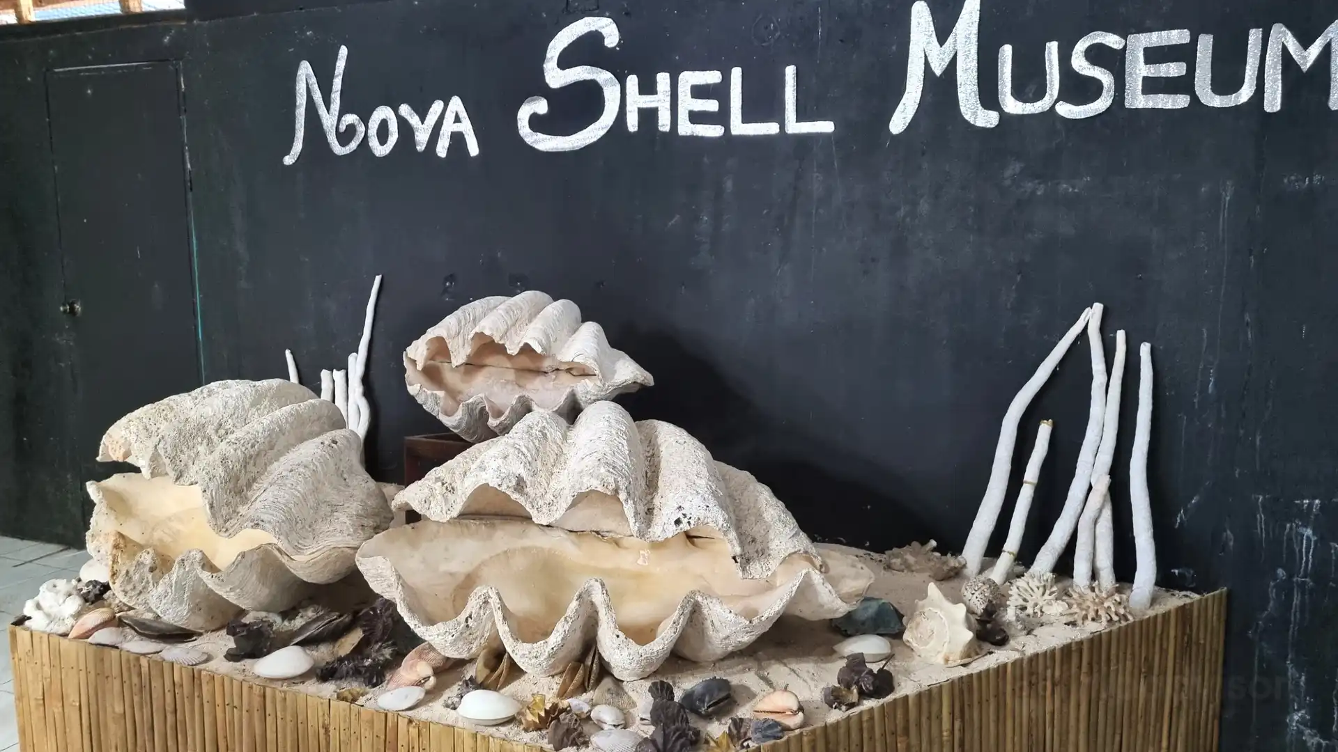 Hotels near Nova Shell Museum