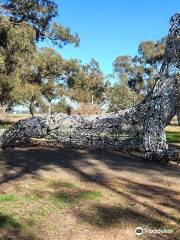 GUM SWAMP & BIRD HIDE