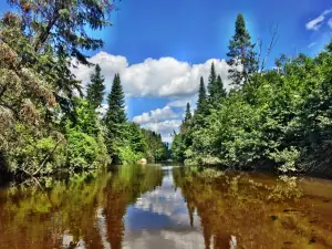 Marais du Nord (Les)