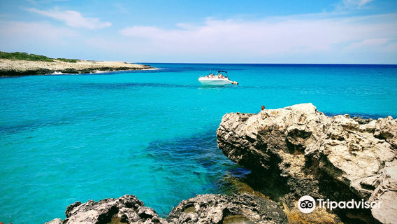 Ayia Napa