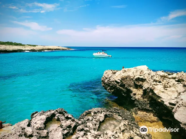 The Blue Lagoon