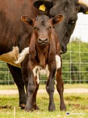 Cotswold Farm Park