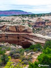 Monumento nacional de los Puentes Naturales