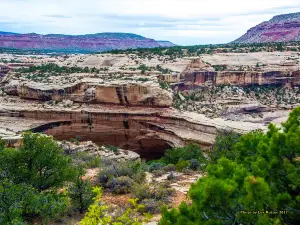 Natural Bridges National Monument