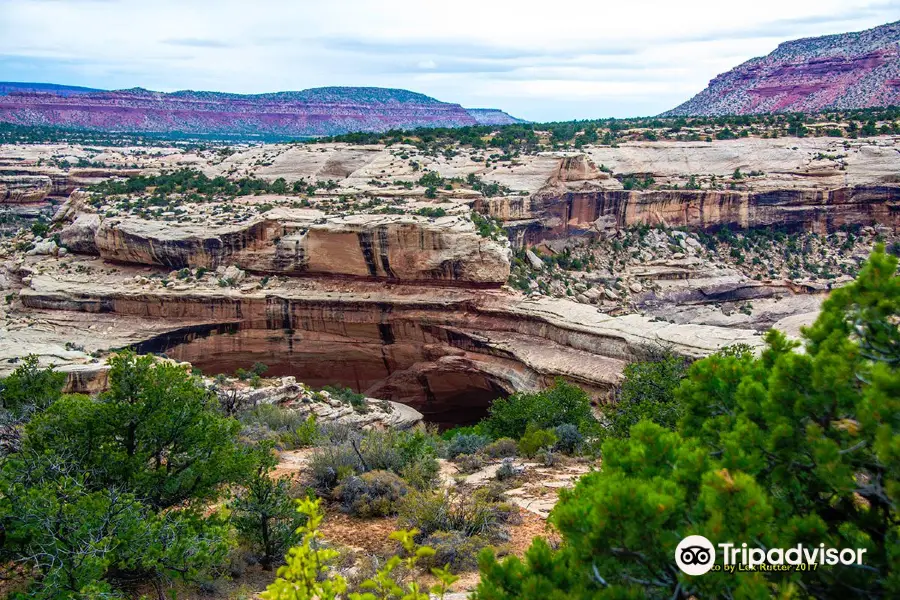 Natural Bridges National Monument