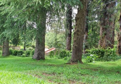 Hogsback Arboretum