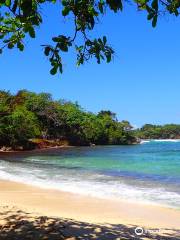 Winnifred Beach