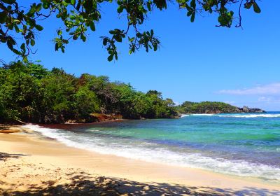 Winnifred Beach