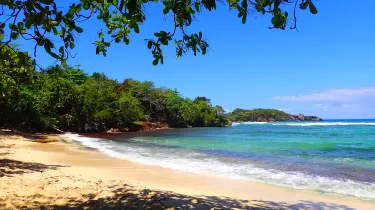 Winnifred Beach