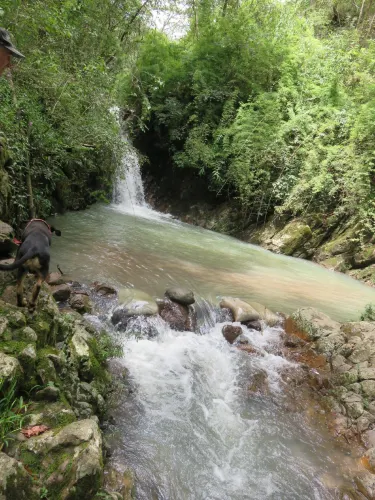 Teotepeque