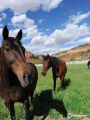 Best Friends Animal Sanctuary