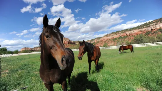 Best Friends Animal Sanctuary