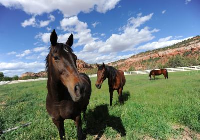 Best Friends Animal Sanctuary